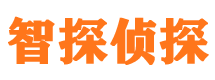 漳州市私家侦探